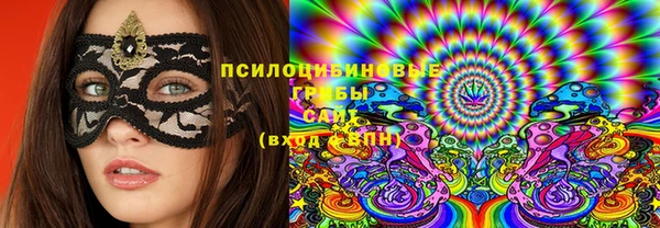 трава Бронницы