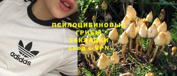 ПСИЛОЦИБИНОВЫЕ ГРИБЫ Россошь