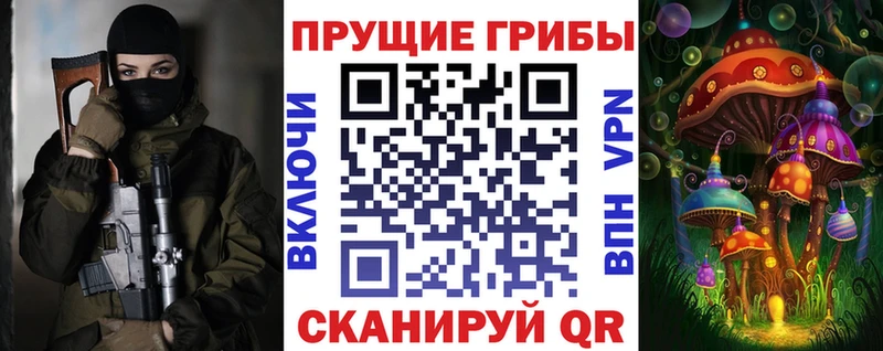 купить   Дубовка  блэк спрут   Псилоцибиновые грибы Psilocybe 
